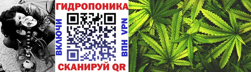 Наркошоп Кадников Канабис  Галлюциногенные грибы  Меф мяу мяу  Кокаин  A-PVP  Амфетамин 