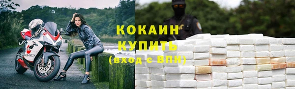 шишки Карталы