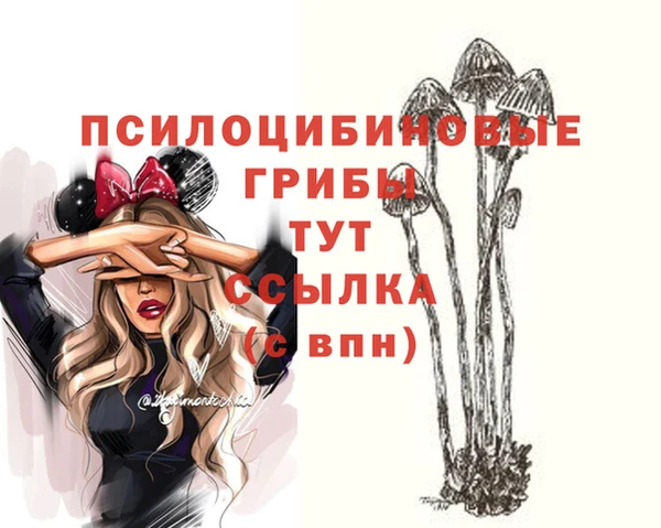 мдма Валдай