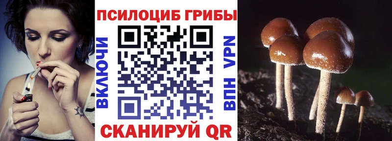 Псилоцибиновые грибы прущие грибы  Кадников 
